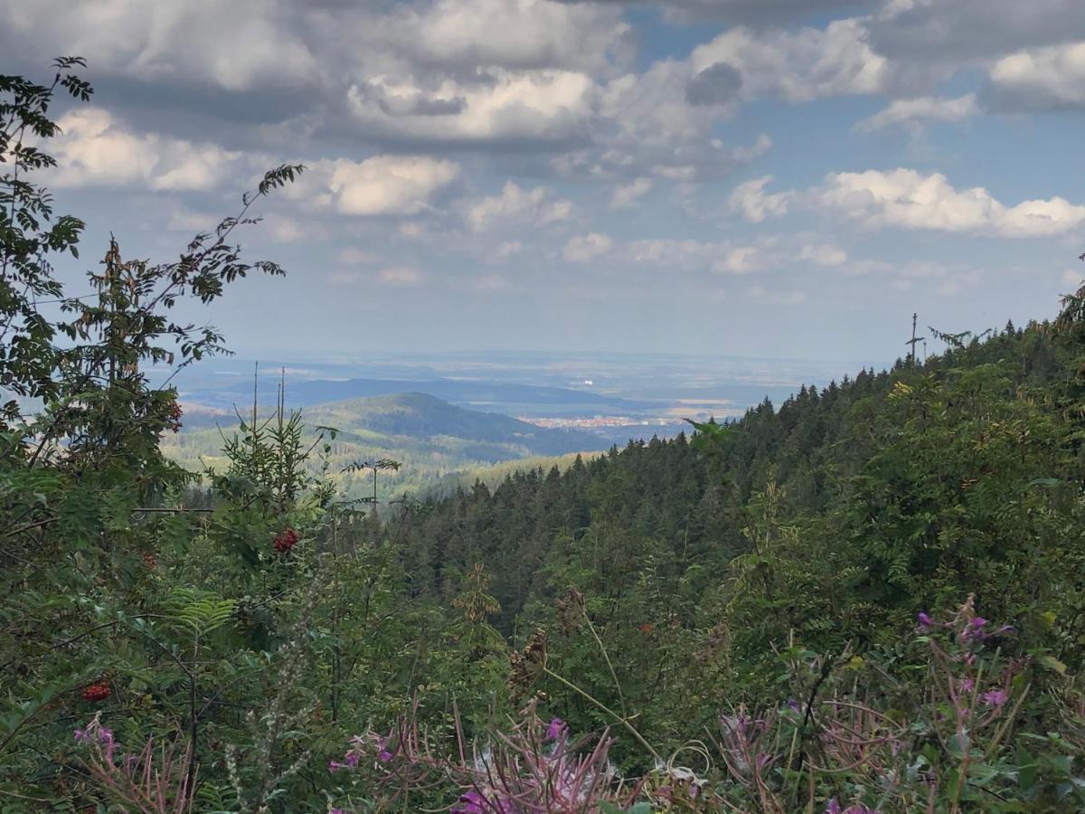 Bocksbergglueck In Hahnenklee, Endreinigung, Bezogene Betten, Handtuecher Inklusive Goslar Exterior foto